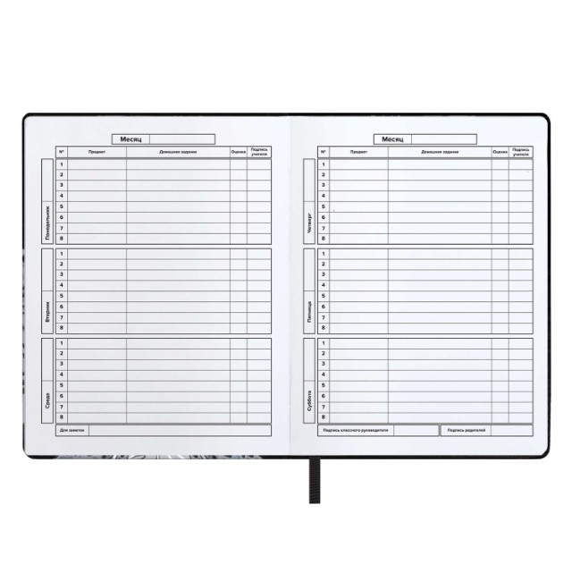 Дневник ст кл иск.кожа Танец с катаной (лейкер) Превью 4