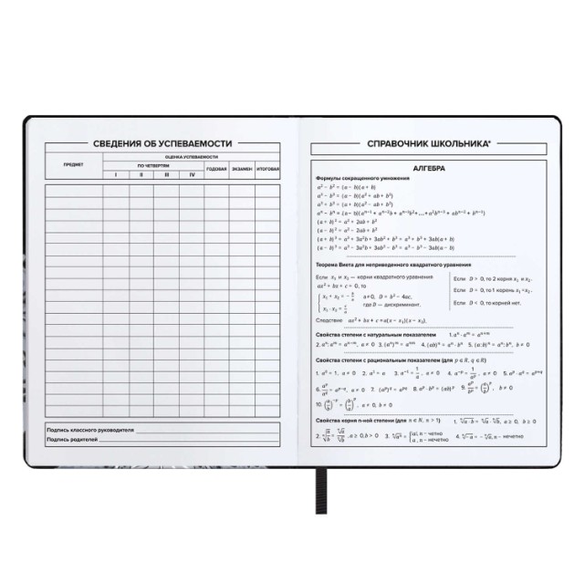 Дневник ст кл иск.кожа Танец с катаной (лейкер) Превью 7