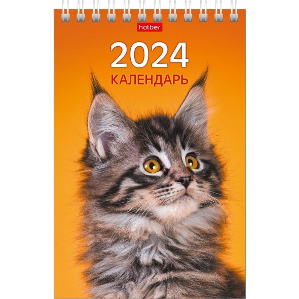 Календарь настольный 2024 (домик) 12КД6гр_28412 МУРчат Коты