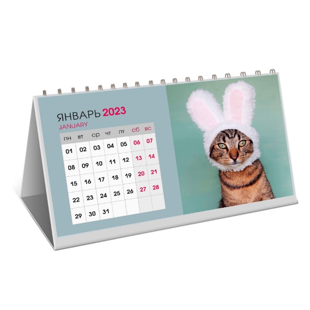 Календарь настольный 2024 (домик) КДС62410 Котики. 1 Превью 8