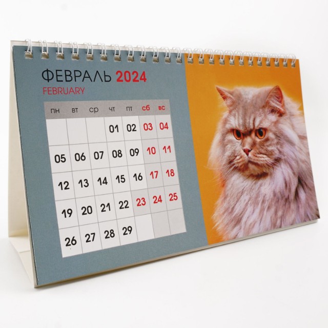 Календарь настольный 2024 (домик) КДС62410 Котики. 1 Превью 5