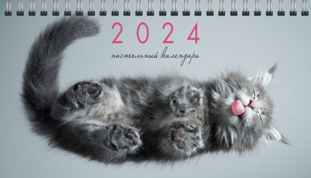Календарь настольный 2024 (домик) КДС62410 Котики. 1