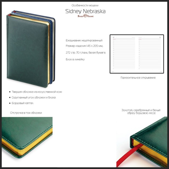 Ежедневник А5 Sidney Nebraska синий недат Превью 8