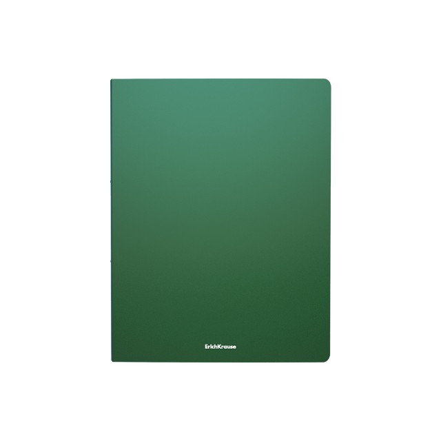 Папка-файл А4 10л EK Classic зеленый Превью 2