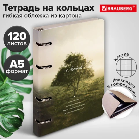 Тетрадь на кольцах 120л Brauberg Nature