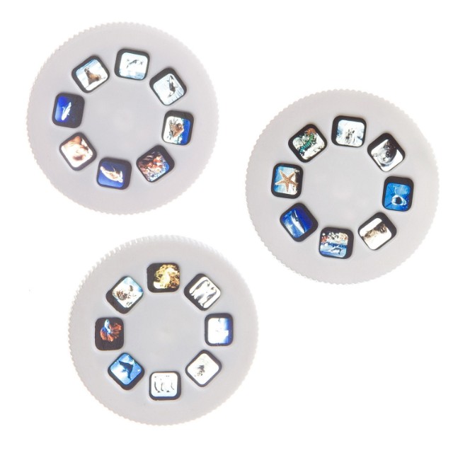 Диапроектор-фонарик 3 диска со слайдами (животные) Превью 3