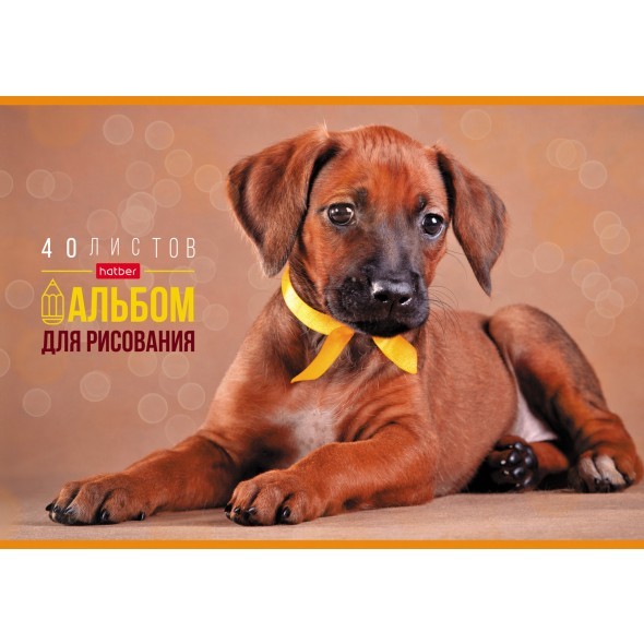 Альбом д/рис 40л Любимые питомцы Превью 2