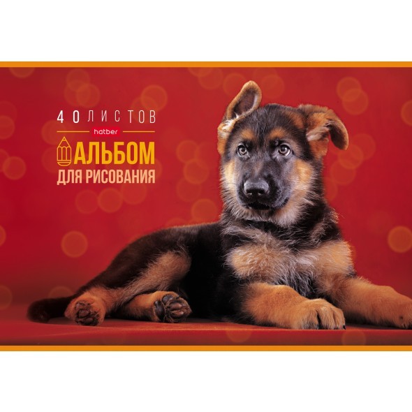 Альбом д/рис 40л Любимые питомцы Превью 4