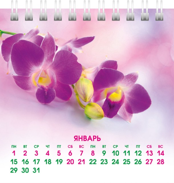 Календарь настольный 2024 (домик) 12КД6гр_28492 Аромат цветов Превью 2