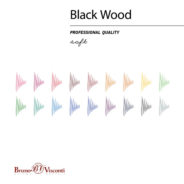 Карандаши цветные 12 цв пластик BV BlackWoodColor Превью 13