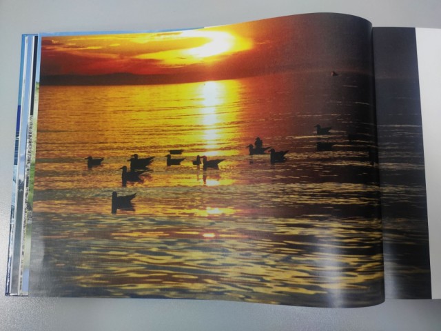 Земля открытий. Альбом Превью 2