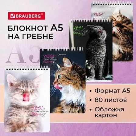 Блокнот А5 80л кл спир Brauberg Довольные коты