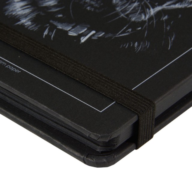 Скетчбук 100*130мм 120л BV Черный 110 гр. на гребне (4 вида) Превью 3