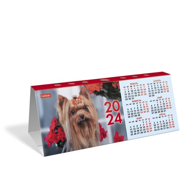 Календарь настольный 2024 (домик) КД6 Ассорти