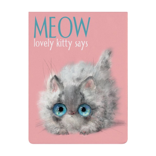 Скетчбук А7 250л тв BV Микс 7 вида 70гр/м2 Превью 16