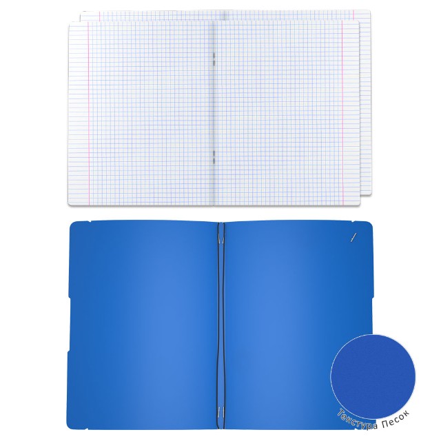 Тетрадь А4 пласт обл 48л кл съемная 2шт EK FolderBook синяя на рези Превью 3