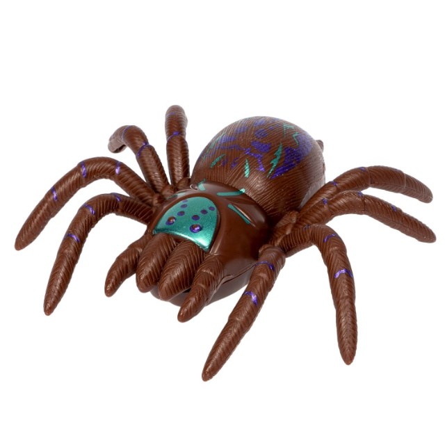 Паук сползает по стеклу коричнев. Превью 1