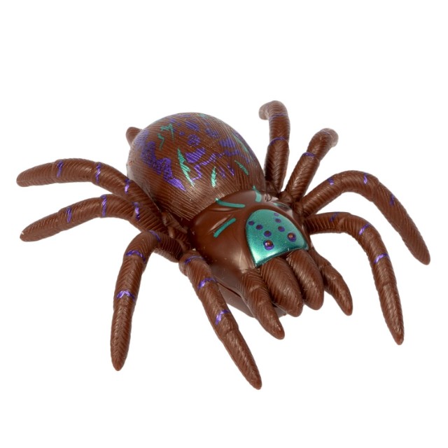 Паук сползает по стеклу коричнев. Превью 3