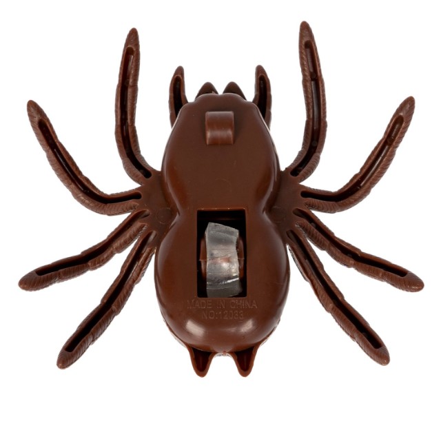 Паук сползает по стеклу коричнев. Превью 6