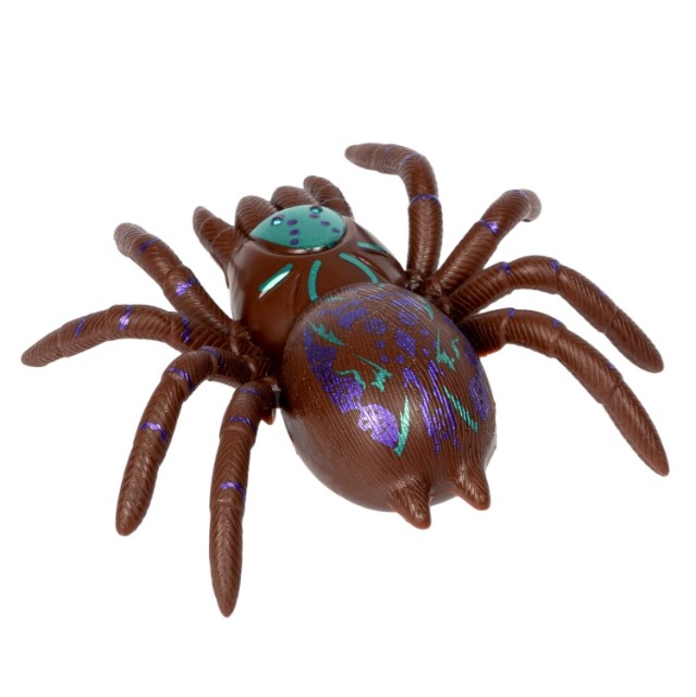 Паук сползает по стеклу коричнев. Превью 7