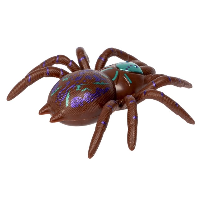 Паук сползает по стеклу коричнев. Превью 5