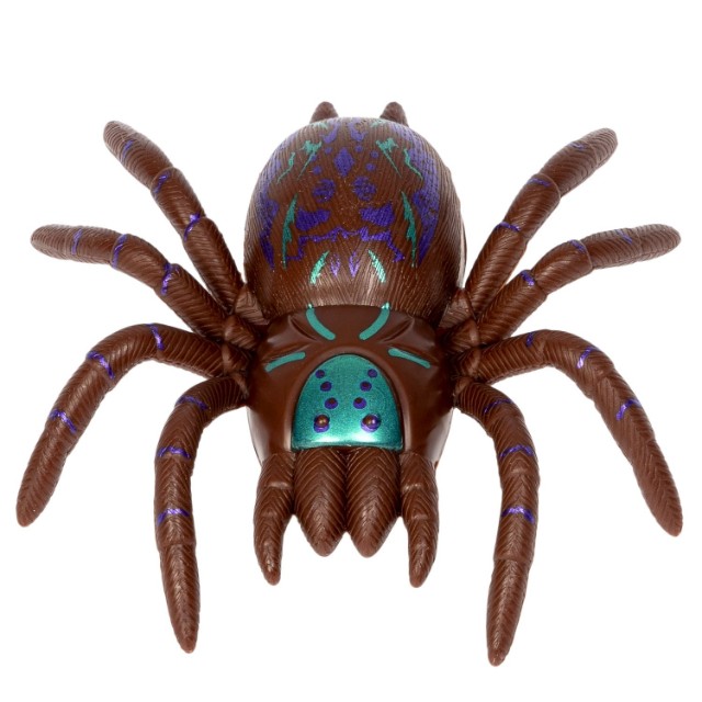 Паук сползает по стеклу коричнев. Превью 4