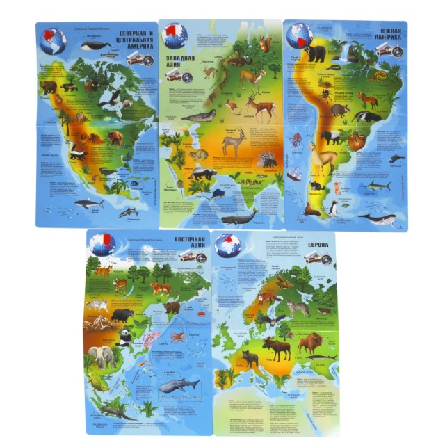 Игра Настольная Викторина Умная Сова Увлекательный мир животных и природы Превью 1