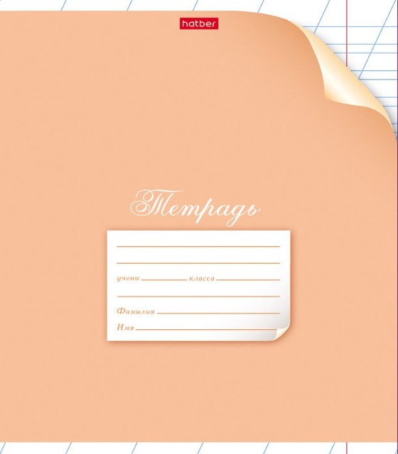 Тетрадь 12л линейка косая Однотонная. С уголком ассорти Превью 3