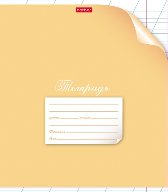 Тетрадь 12л линейка косая Однотонная. С уголком ассорти Превью 1