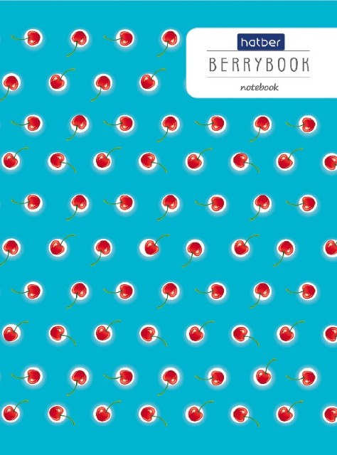 Зап. книжка А6 48л точка Premium Графика Превью 3