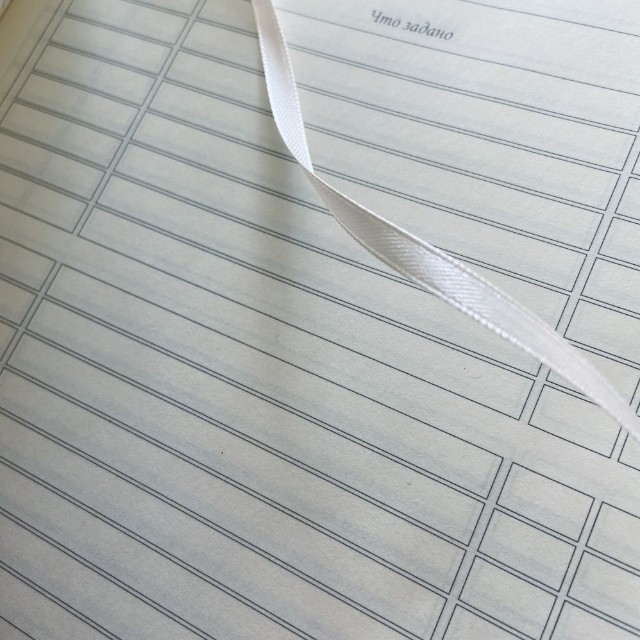 Дневник ст кл иск.кожа BV Сладкое настроение. Леденцы Превью 2