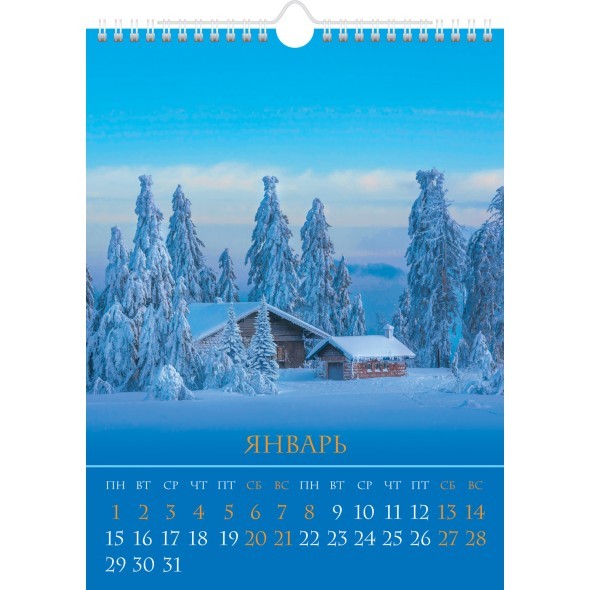 Календарь настенный 2024 12Кнп4гр_29718 Двенадцать месяцев Превью 2