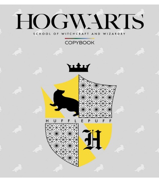 Тетрадь 24л клетка Гарри Поттер 5 видов скругл Превью 4