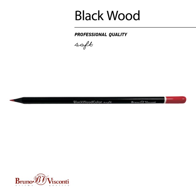 Карандаши цветные 36 цв пластик BV BlackWoodColor Превью 6