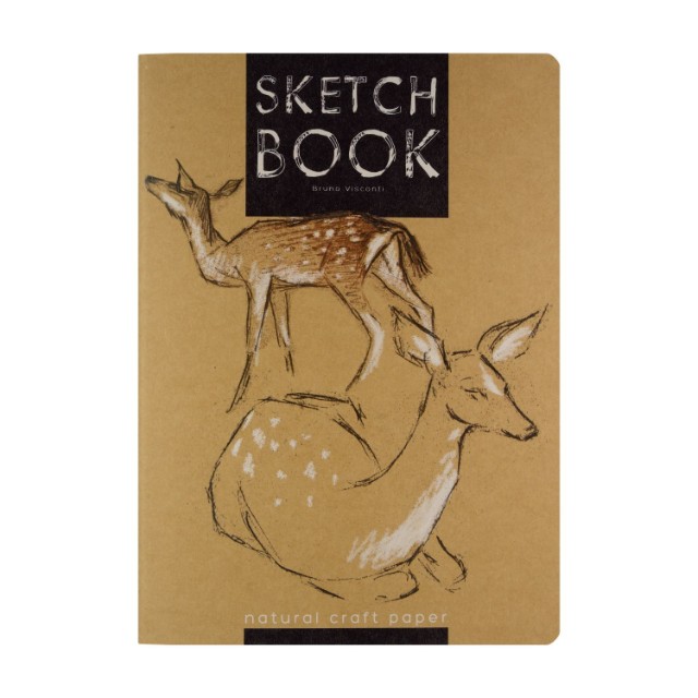 Скетчбук В5 60л BV Микс 4 вида крафт Превью 6