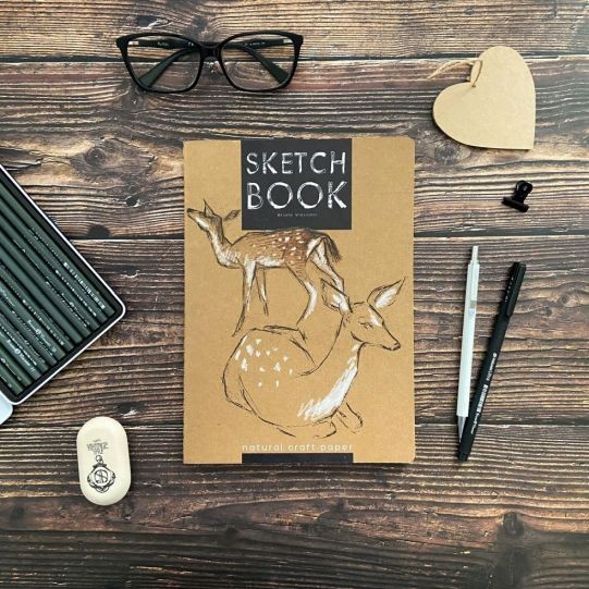 Скетчбук В5 60л BV Микс 4 вида крафт Превью 7