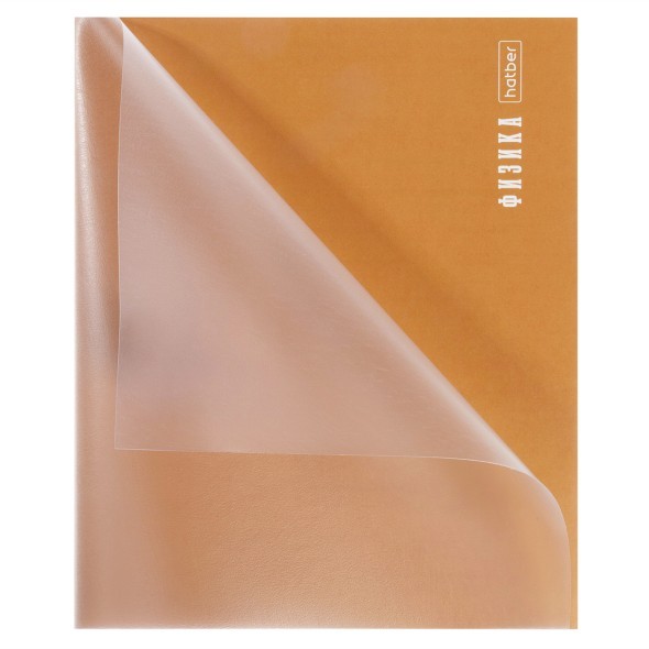 Тетрадь 48л кл темат Физика PROстиль (пластик. обл) Превью 1