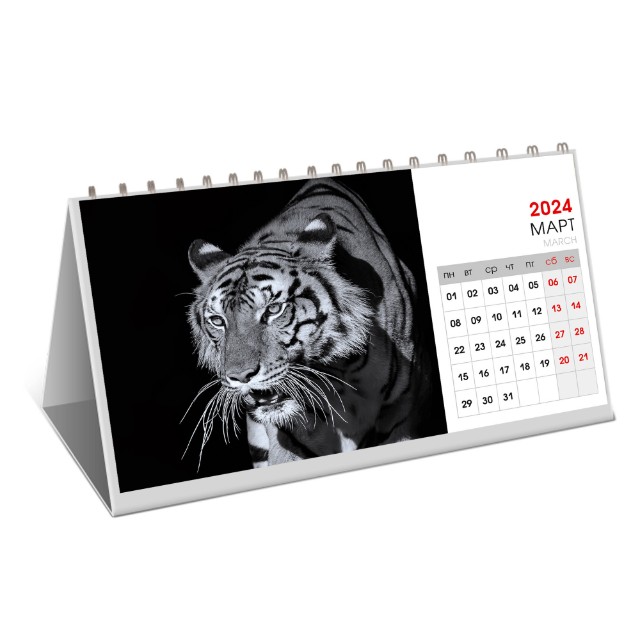 Календарь настольный 2024 (домик) КДС62405 Wild animals Превью 1
