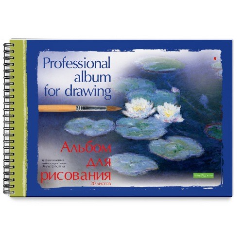 Альбом д/рис 20л спир Профессиональная 160г/м2 Превью 3