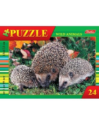 Пазл 24 Лесные жители 4вида Превью 1