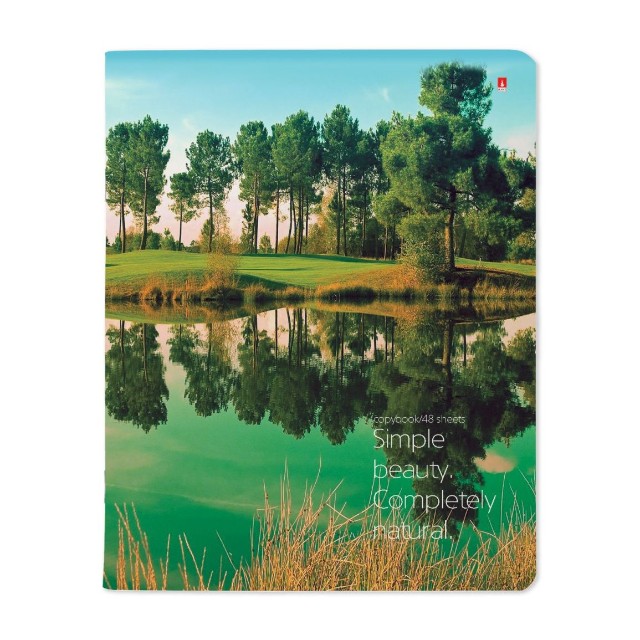 Тетрадь 48л кл Природа Пейзажи Превью 3