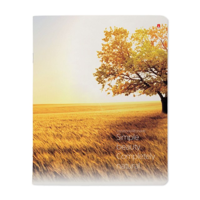 Тетрадь 48л кл Природа Пейзажи Превью 8