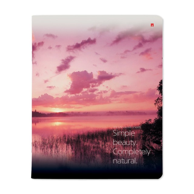 Тетрадь 48л кл Природа Пейзажи Превью 5