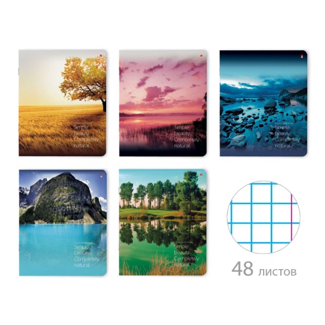 Тетрадь 48л кл Природа Пейзажи Превью 0