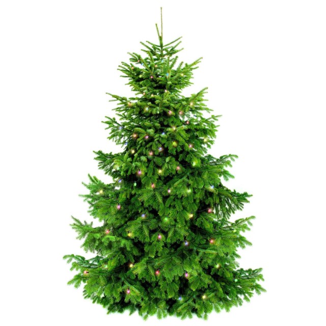 Творч Самая компактная елка на ткани Укрась своими руками! 110*60см Превью 4