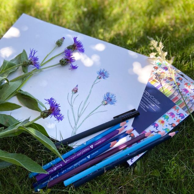 Карандаши цветные 18 цв BV HappyColor треуг к/к Превью 8