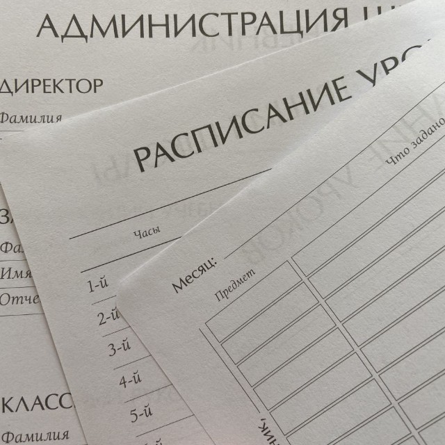 Дневник ст кл иск.кожа BV Velvet зеленый Превью 2