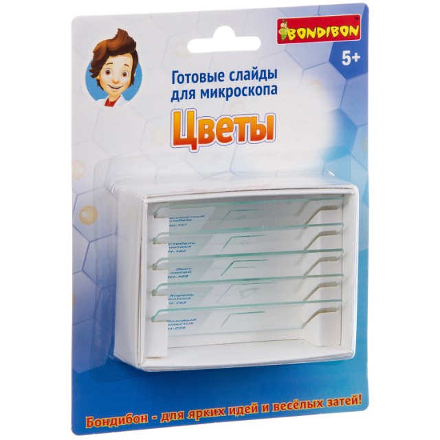 Набор для исследования Слайды для микроскопа Цветы