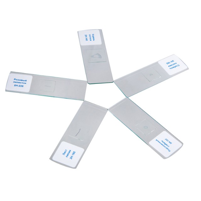 Набор для исследования Слайды для микроскопа Цветы Превью 2