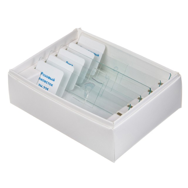 Набор для исследования Слайды для микроскопа Цветы Превью 1